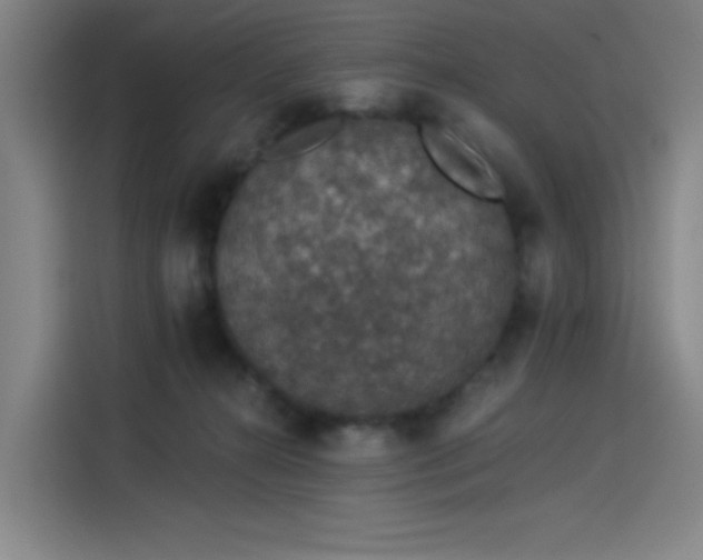 X0000114210272200910161253