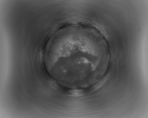 X0000114210273200910161253