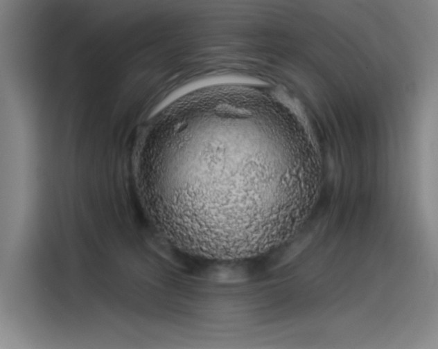 X0000114210275200910161253
