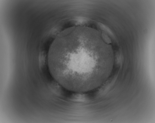 X0000114210276200910161253