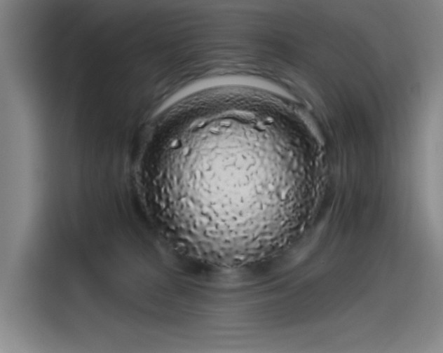 X0000114210277200910161253