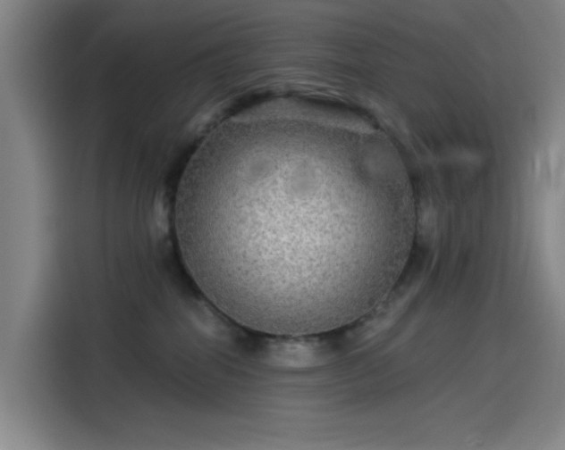 X0000114210282200910161253