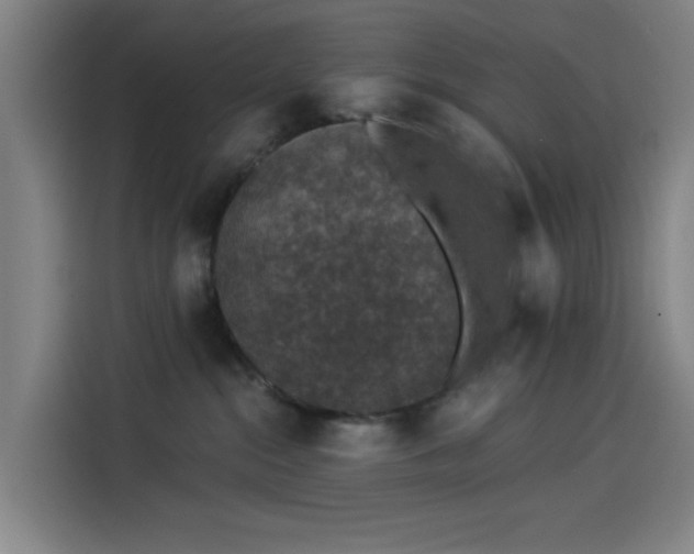 X0000114210284200910161253