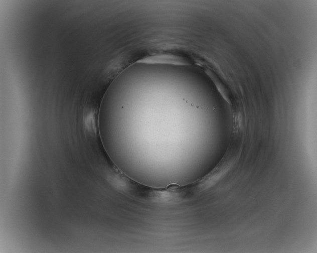 X0000114210286200910161253