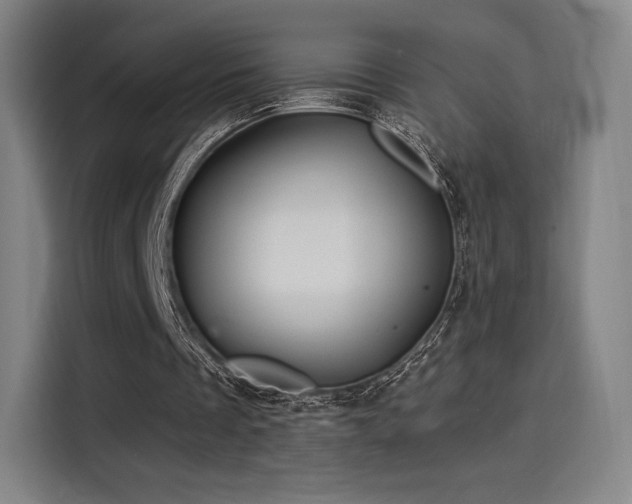 X0000114210289200910161253