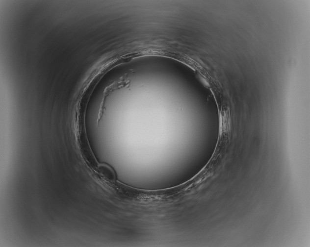 X0000114210291200910161253