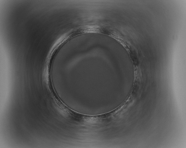 X0000114210293200910161253