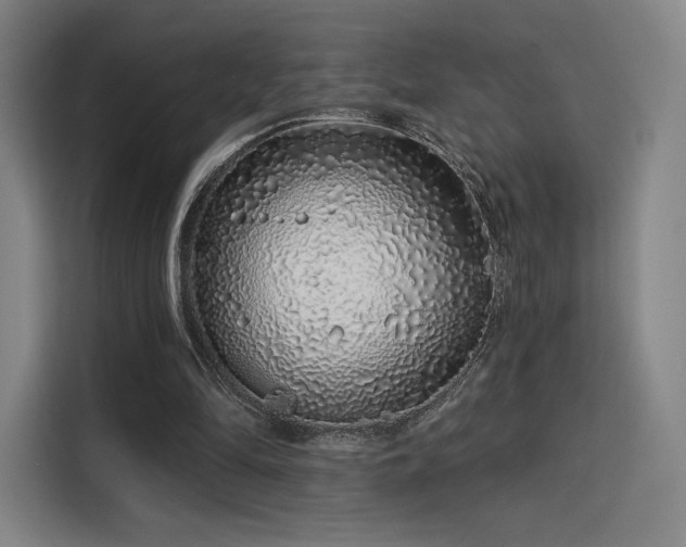 X0000114210294200910161253