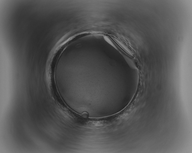 X0000114210295200910161253