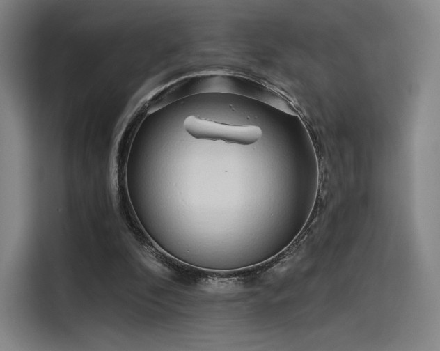 X0000114210296200910161253