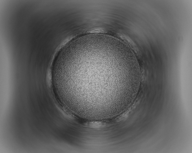 X0000114210298200910161253