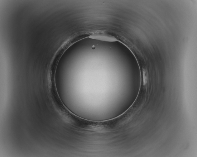 X0000114210300200910161253