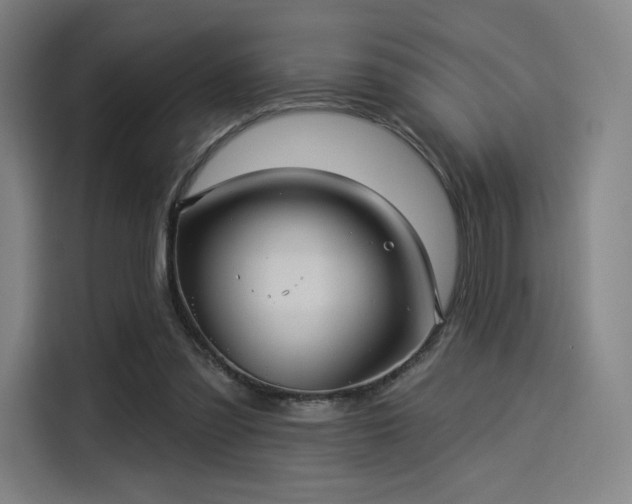 X0000114210301200910161253