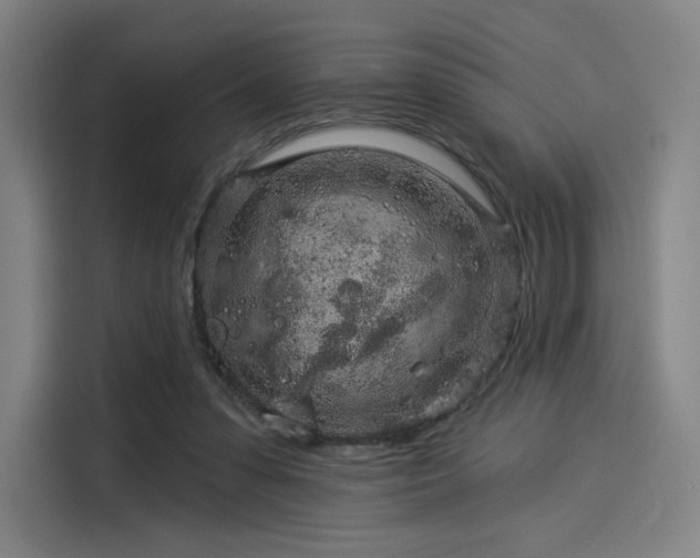 X0000114210303200910161253