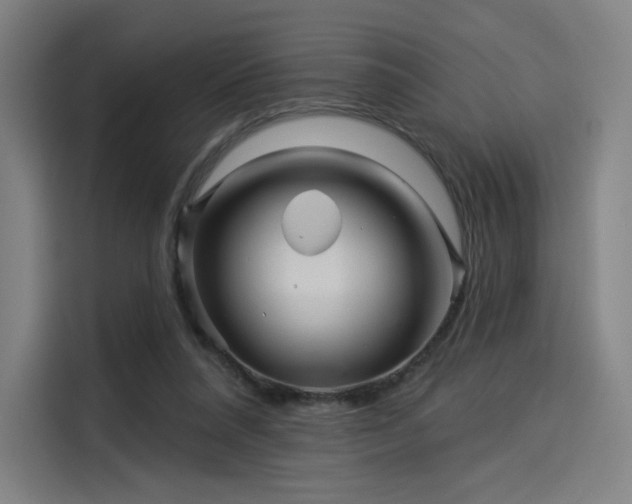 X0000114210304200910161253