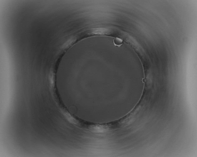 X0000114210305200910161253
