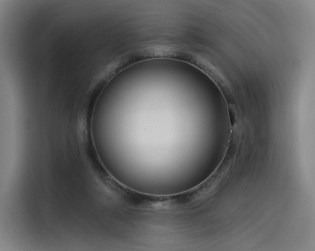 X0000114210306200910161253