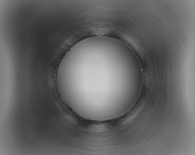 X0000114210307200910161253