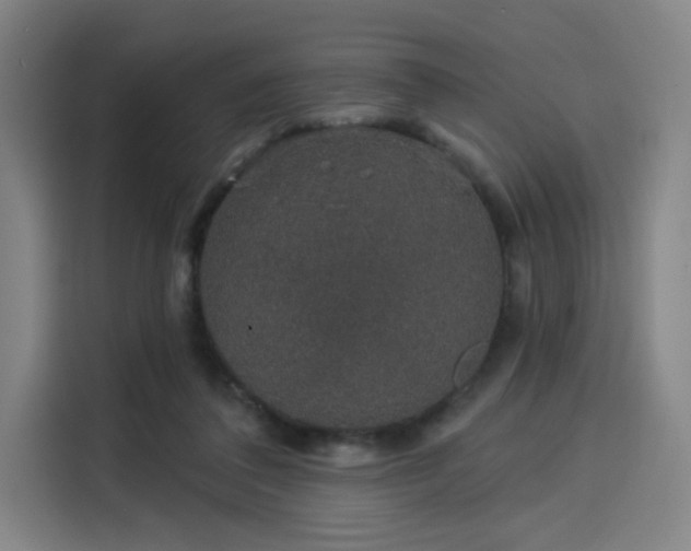 X0000114210308200910161253