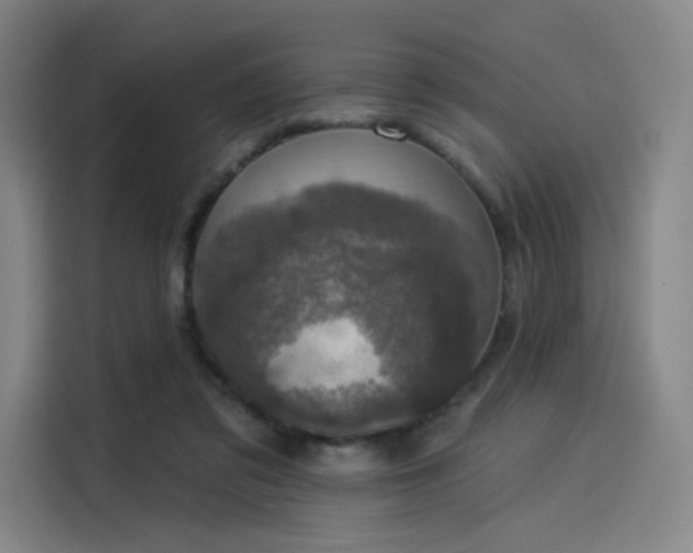 X0000114210309200910161253