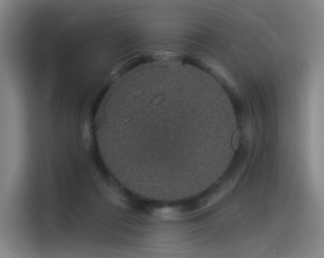 X0000114210312200910161253