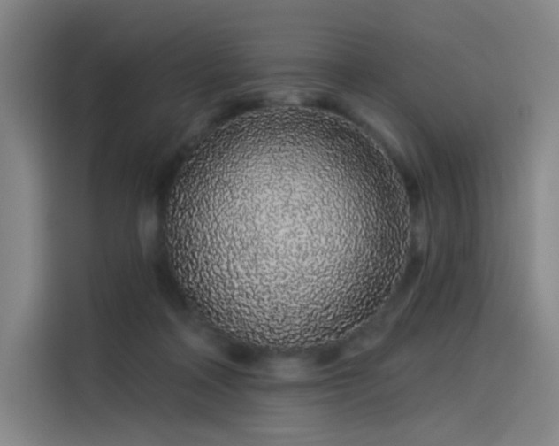 X0000114210314200910161253
