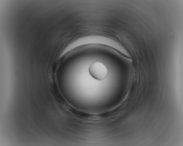 X0000114210316200910161253