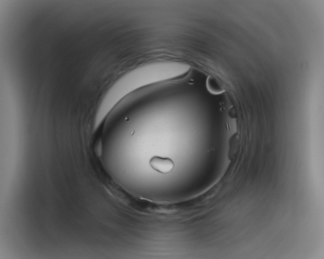 X0000114210317200910161253