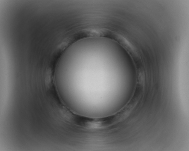 X0000114210318200910161252