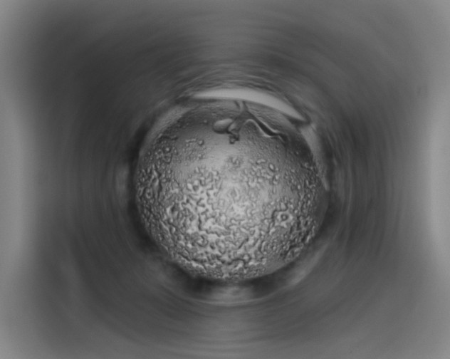 X0000114210319200910161252