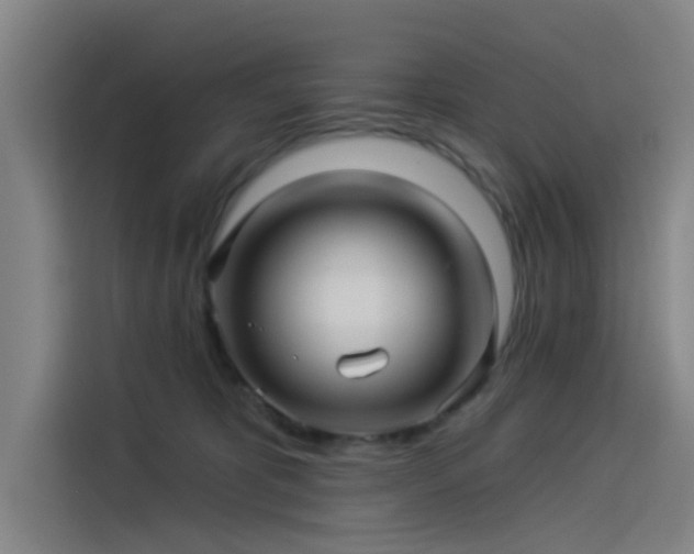 X0000114210325200910161252