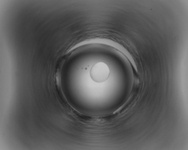 X0000114210328200910161252