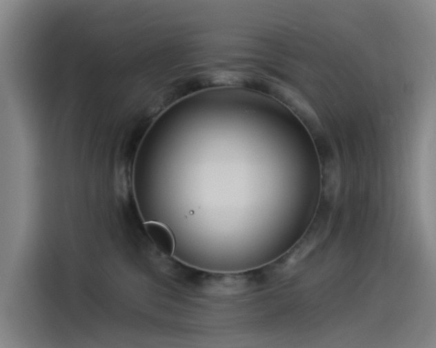 X0000114210329200910161252
