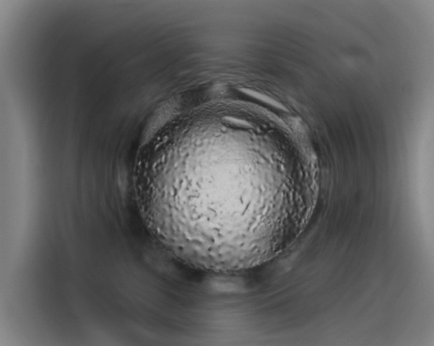 X0000114210331200910161252
