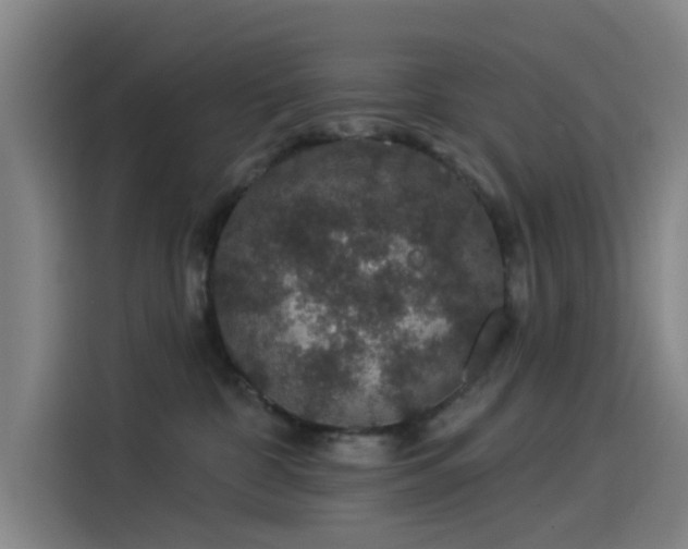 X0000114210332200910161252