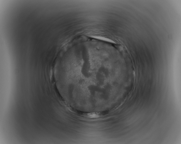 X0000114210335200910161252