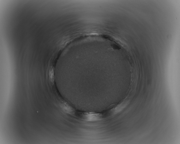 X0000114210336200910161252