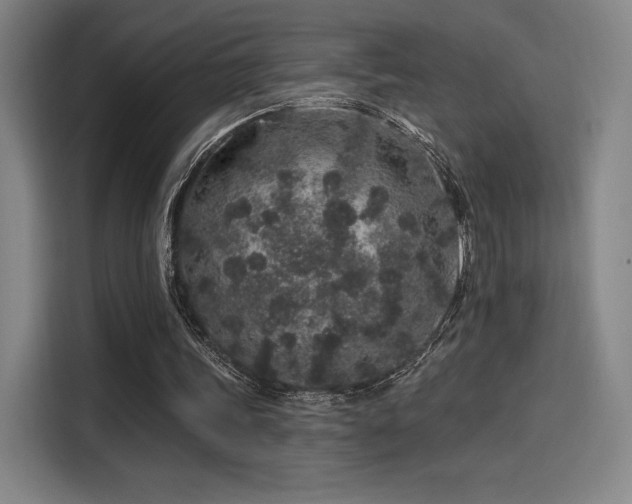 X0000114210339200910161252