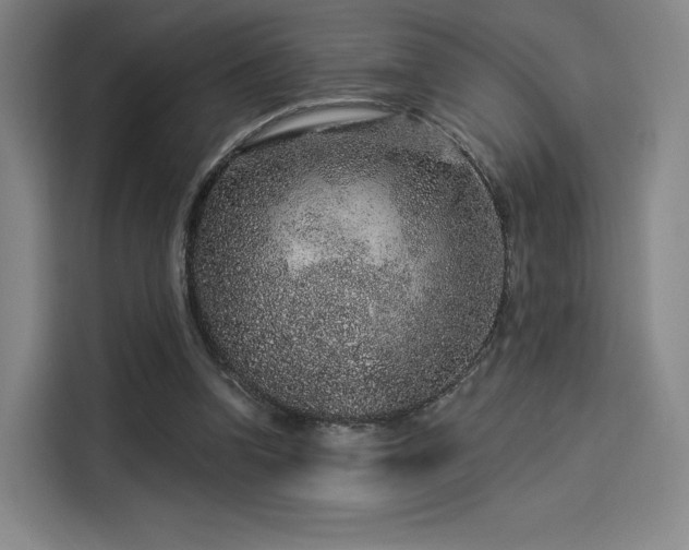X0000114210346200910161252
