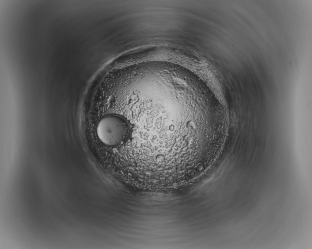 X0000114210347200910161252