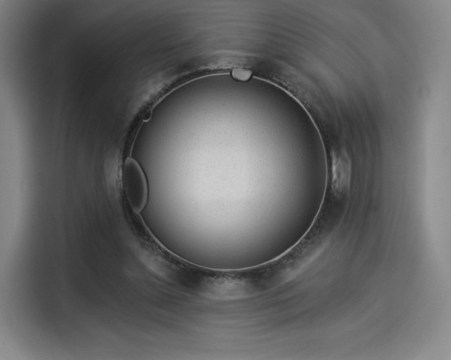 X0000114210348200910161252