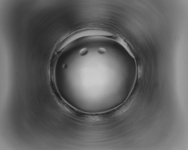 X0000114210349200910161252