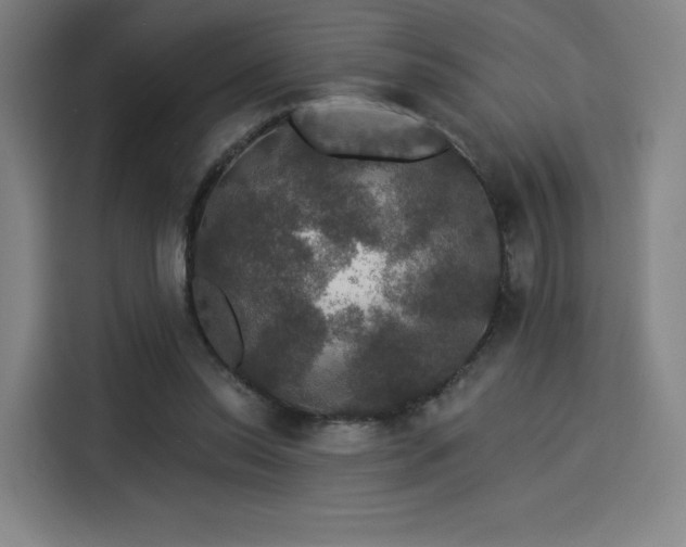 X0000114210350200910161252