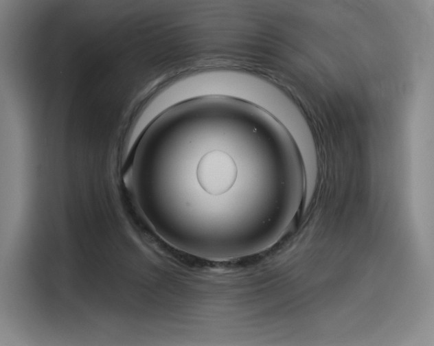 X0000114210352200910161252