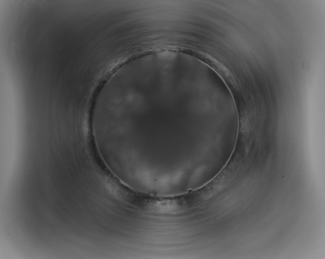 X0000114210353200910161252