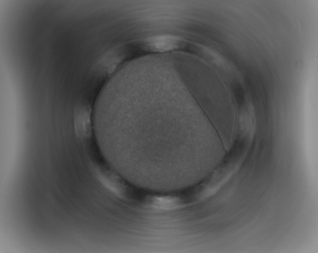 X0000114210360200910161252