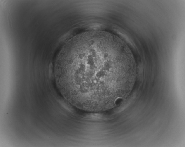 X0000114210361200910161252