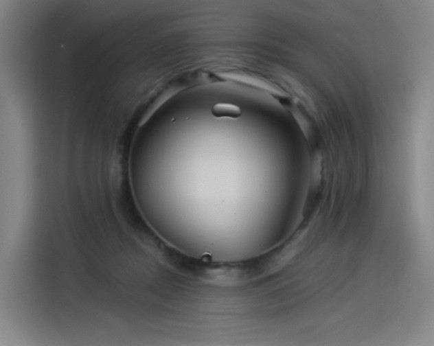 X0000114210362200910161252