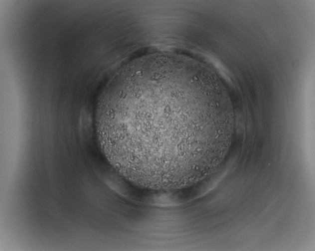 X0000114210365200910161252