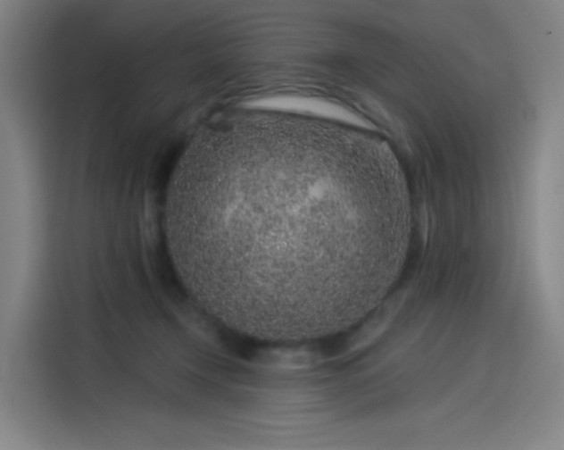 X0000114210366200910161252
